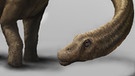 Titanosaurier Dreadnoughtus schrani | Bild: Mark A. Klingler/Carnegie Museum of Natural History/dpa-Bildfunk