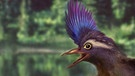 Zeichnung des Frühvogels Archaeornithura meemannae | Bild: Zongda Zhang