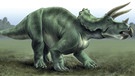 Dinosaurier Triceratops | Bild: picture-alliance/dpa