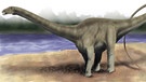 Dinosaurier Apatosaurus  | Bild: picture-alliance/dpa