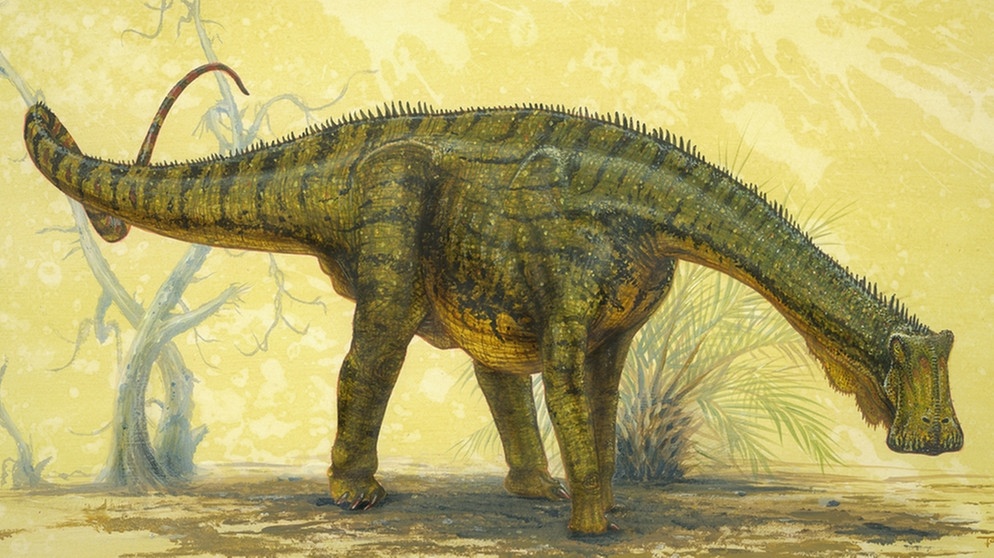 Dinosaurier Nigersaurus taqueti | Bild: picture-alliance/dpa