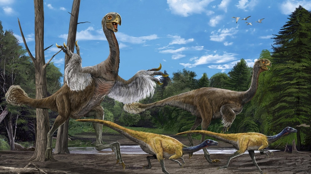 Dinosaurier Gigantoraptor elianensis und Ornithomimosauria | Bild: picture-alliance/dpa