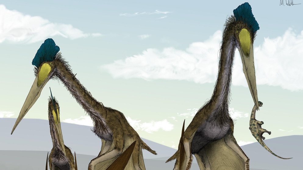 Dinosaurier Quetzalcoatlus | Bild: picture-alliance/dpa/Illustration: Mark Witton