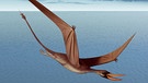 Dinosaurier Rhamphorhynchus | Bild: picture-alliance/dpa