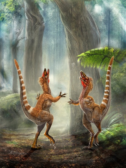 Dinosaurier Sinosauropteryx | Bild: picture-alliance/dpa/Zeichnung: Chuang Zhao und Lida Xing