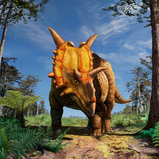 Xenoceratops - Horndinosaurier | Bild: picture-alliance/dpa