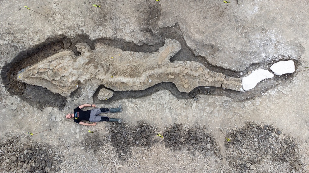 Das Aussterben Der Dinosaurier: Asteroideneinschlag Im Yucatán War Wohl ...