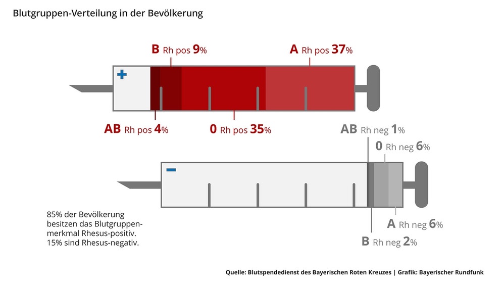 Die Infografik zeigt die Blutgruppenverteilung in Deutschland - mit den Rhesusfaktoren: 37 Prozent haben A+, 35 Prozent 0+, Blutgruppe B+ haben 9 Prozent, 4 Prozent haben AB+. Jeweils 6 Prozent haben A- und 0-, 2 Prozent haben B- und 1 Prozent hat AB-. Was ihr sonst noch über Blut wissen müsst. | Bild: BR