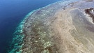 Blick aus der Vogelperspektive auf ein bleiches Korallenriff zwischen Cairns, Australien, und Papua Neuguinea. | Bild: picture alliance / dpa | Arc Centre Of Excellence For Cor