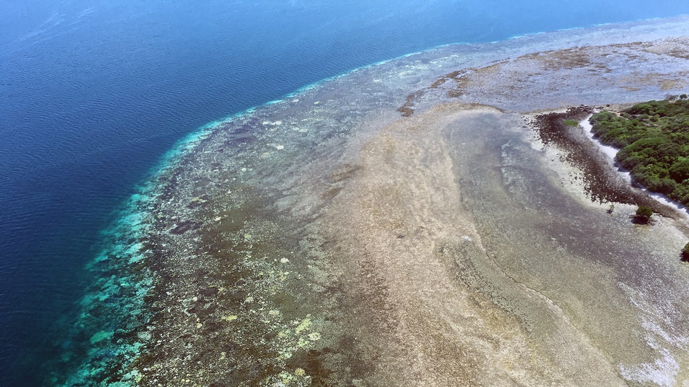 Blick aus der Vogelperspektive auf ein bleiches Korallenriff zwischen Cairns, Australien, und Papua Neuguinea. | Bild: picture alliance / dpa | Arc Centre Of Excellence For Cor