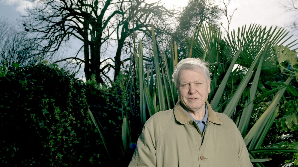 Prominenter Namenspate: der Tierfilmer David Attenborough | Bild: picture-alliance/dpa/Photoshot