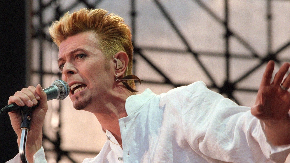 David Bowie, ein prominenter Namenspate für ein Tier | Bild: picture-alliance/dpa