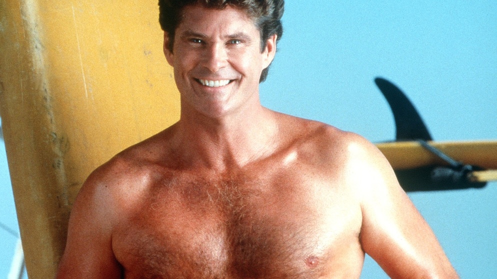 David Hasselhoff ist prominenter Namenspate für eine Krabbenart | Bild: picture-alliance/dpa