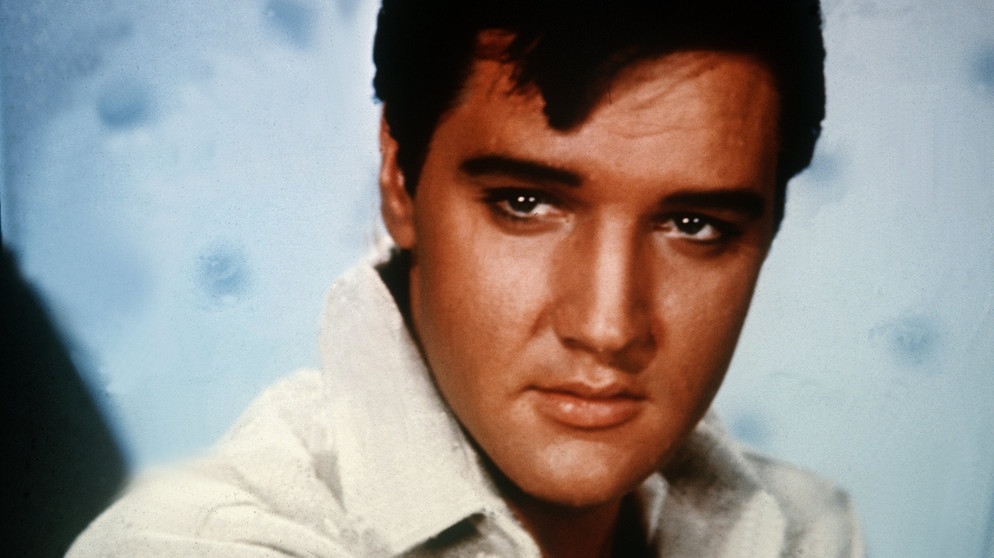 Elvis Presley ist prominenter Namenspate für eine Gallwespe | Bild: picture-alliance/dpa