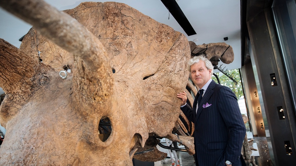 Auktionator Alexandre Giquello steht neben «Big John», dem größten bekannten Skelett eines Triceratops. Das Skelett soll im Oktober im Pariser Auktionshaus Hotel Drouot versteigert werden. | Bild: dpa-Bildfunk/Lewis Joly