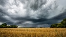 Ein Weizenfeld, über dem sich ein Gewitter zusammenbraut. Die Geschichte der Wettervorhersage: Früher fürchtete man den Zorn der Götter bei Blitz und Donner, dann sollten Bauernregeln wie der Siebenschläfertag Ordnung ins Wetterchaos bringen. Heute regeln das die Meteorologen - oder? | Bild: picture alliance / All Canada Photos | Shannon Bileski