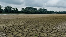 Eine rissige, ausgetrocknete Sandbank an der Donau bei Mariaposching in Bayern im Juli 2015. Der Hitze-Sommer 2015 brachte Rekordtemperaturen mit sich, aber auch extreme Trockenheit in Bayern. Niedrigwasser sorgte auf mehreren Flüssen für Probleme der Schifffahrt. | Bild: picture-alliance/dpa