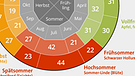 Grafik: Vergleich der phänologischen Jahreszeiten in Deutschland. Gemessen an den Wachstumsphasen der Pflanzenwelt haben sich die Jahreszeiten deutlich geändert: Frühling und Sommer haben im Zeitraum von 1991 bis 2019 im Schnitt um einige Tage früher begonnen als im Vergleichszeitraum 1961 bis 1990. Der Herbst dauert deutlich länger. Daten vom Deutschen Wetterdienst DWD. | Bild: BR, Quelle: DWD