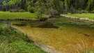 Die Ammerquellen mit Falkenwand in den Ammergauer Alpen: Bayerns Flüsse, Bäche und Seen werden durch den Klimawandel immer wärmer. Seit 1980 sind die Temperaturen der bayerischen Fließgewässer pro Jahrzehnt um ein halbes Jahr gestiegen, so der Klima-Report Bayern 2015 des bayerischen Landesamts für Umwelt. | Bild: imago/blickwinkel