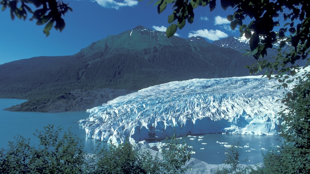 Gletscher Mendenhall 1987 | Bild: picture-alliance/dpa