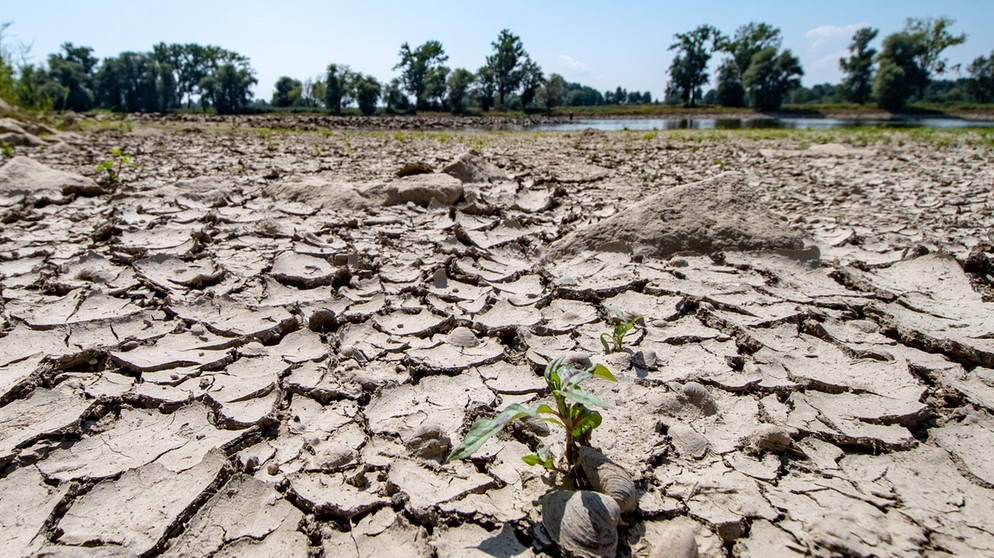 Aufgerissen und ausgetrocknet ist eine Sandbank an der im Sommer 2018 Niedrigwasser führenden Donau nahe Mariaposching. Bayern ächzt seit Ende Juli unter einer Hitzewelle. Die Donauschifffahrt litt unter der anhaltenden Trockenheit. Zwischen Straubing und Vilshofen konnten Schiffer nicht mehr so viel Ladung wie unter normalen Wetterbedingungen transportieren. | Bild: dpa-Bildfunk/Armin Weigel