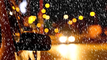 Auto auf beleuchteter Straße. Lichtverschmutzung schadet Tieren und Pflanzen.  | Bild: colourbox.com
