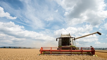 Getreideernte in Bayern. Was sind Wolken, wie entstehen Regen, Wirbelstürme und Wetterphänomen wie El Niño? Wir erklären euch die Geschichte der Wetterkunde!  | Bild: picture-alliance/dpa