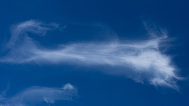 Das Wetter- und Wolken-Phänomen der Cirrus-Wolke. Es gibt verschiedene Arten von Wolken. Sonnenschein, Regen oder Gewitter: Wolken haben einen Einfluss auf das Wetter. Es gibt zehn Wolkengattungen und vier Wolkenfamilien. Auch Winde können die Wolkenbildung beeinflussen. Zudem wird untersucht, welchen Einfluss Wolken auf das Klima haben. | Bild: picture-alliance/dpa/Maximilian Schönherr