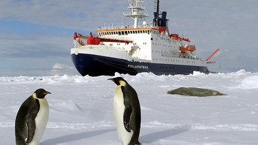 Das Forschungsschiff "Polarstern" unterwegs in der Antarktis vor Pinguinen. | Bild: Alfred-Wegener-Institut (AWI) 