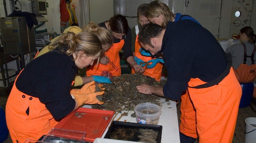 Proben aus Antarktis und Arktis an Bord des Forschungsschiffs Polarstern. | Bild: Gauthier Chapelle / Alfred-Wegener-Institut für Polar- und Meeresforschung