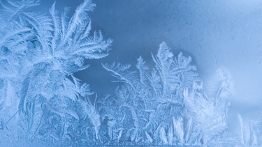 Eisblumen an einer Fensterscheibe. Eisblumen, Schneeflocken, Winterwetter vom Feinsten? Dabei ist die weiße Pracht gar nicht wirklich weiß. Und Schnee ist auch nur ein Niederschlag wie Regen oder Graupel. Zudem kann Schnee auch durchaus gefährlich werden. | Bild: colourbox.com