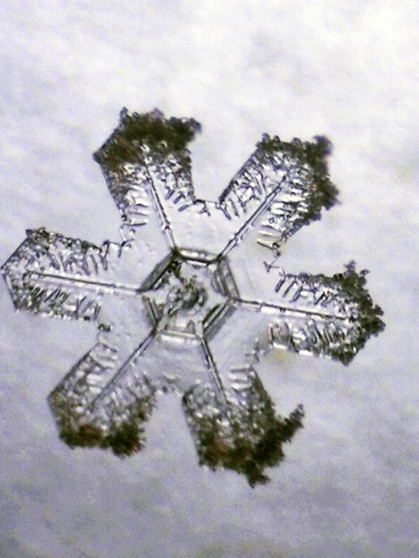 Eiskristall. Eisblumen, Schneeflocken, Winterwetter vom Feinsten? Ihr fragt euch, wie und warum sich im Winter Eiskristalle am Fenster bilden? Wir erklären euch, wann Eiskristalle und Eisblumen entstehen und warum Eiskristalle sechseckig sind. Außerdem erfahrt ihr, was der Unterschied zwischen Eiskristallen und einer Schneeflocke ist und wie viele Eiskristalle in einer Schneeflocke sind. | Bild: Helmut Herbel