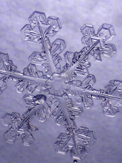 Eiskristall. Trotz Kälte stehen an manchen Tagen ganz besondere Pflanzen in voller Blüte. Sie sprießen an Fenstern, wuchern über Autoscheiben und glitzern an Bushaltestellen: Eisblumen. Wir erklären euch, wann Eiskristalle und Eisblumen entstehen und warum Eiskristalle sechseckig sind. Außerdem erfahrt ihr, was der Unterschied zwischen Eiskristallen und einer Schneeflocke ist und wie viele Eiskristalle in einer Schneeflocke sind. | Bild: Helmut Herbel