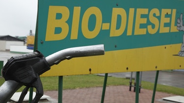 Schild mit Aufschrift Biodiesel | Bild: picture alliance