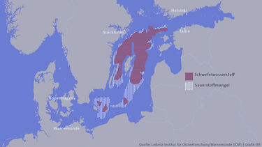Sauerstoffarme Gebiete in der Ostsee, 2021 | Bild: BR
