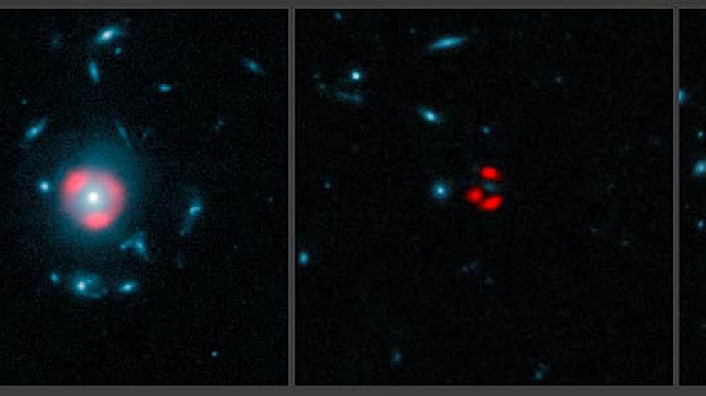 ALMA-Bilder von fernen Starburstgalaxien mit Gravitationslinseneffekt  | Bild: ALMA (ESO/NRAO/NAOJ), J. Vieira et al.