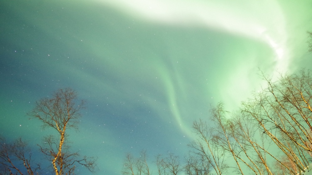 Polarlichter im Abisko Nationalpark in Schwedisch Lappland | Bild: Edeltraud Köhler