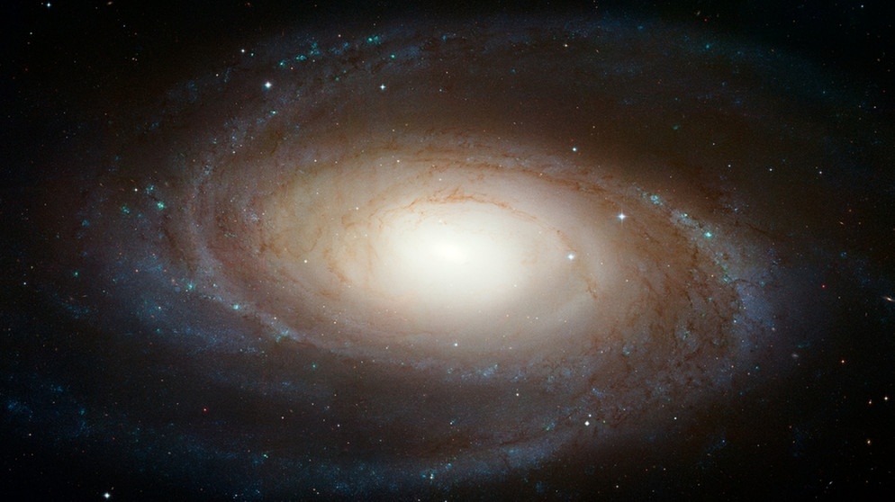 Galaxie M81 | Bild: NASA