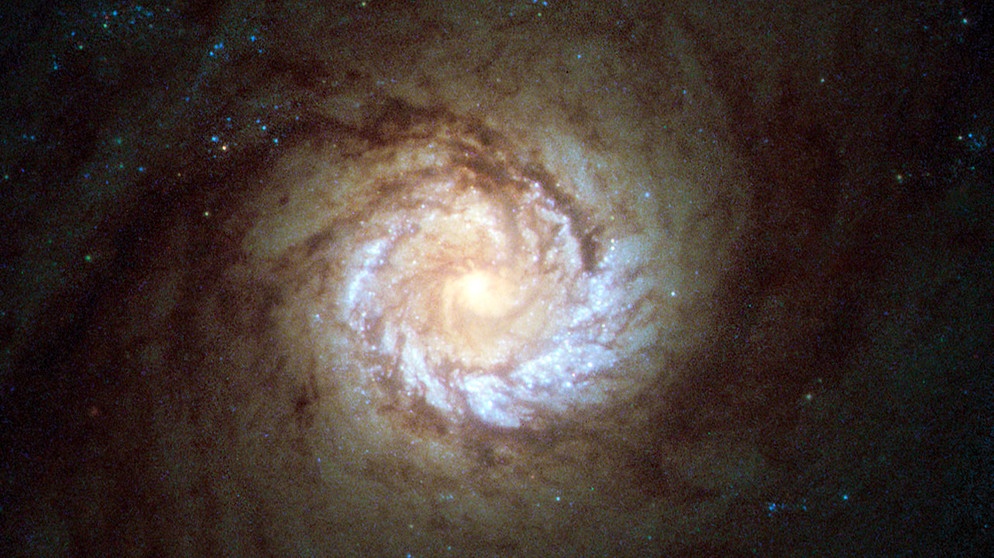 Messier 61, aufgenommen von Hubble | Bild:  ESA/Hubble & NASA, Det58