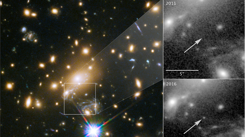 Aufnahme des Weltraumteleskops Hubble vom Stern Icarus MACS J1149+2223 | Bild: ASA, ESA, and P. Kelly (University of Minnesota)