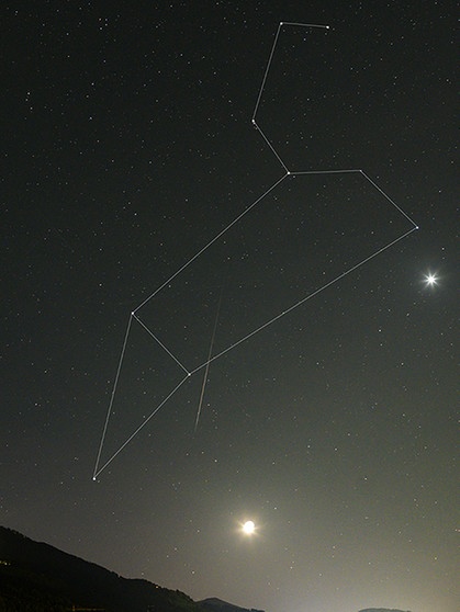 In der Morgendämmerung des 12. Oktober 2023 zeigt sich das Sternbild des Löwen noch in ganzer Pracht, begleitet von Venus und Mond, ein paar Sternschnuppen sind auch dabei. | Bild: Norbert Scantamburlo