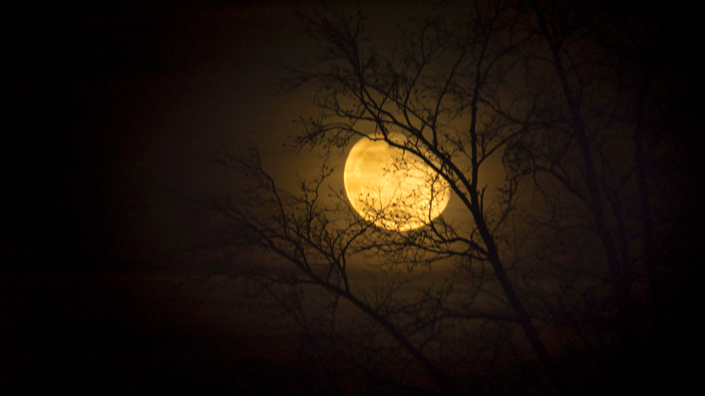 Abnehmender Mond vor kargen Zweigen, aufgenommen von Dominic Horn | Bild: Dominic Horn