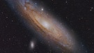 Die Andromeda-Galaxie M31 im Sternbild Andromeda, fotografiert von Robin Peter | Bild: Robin Peter