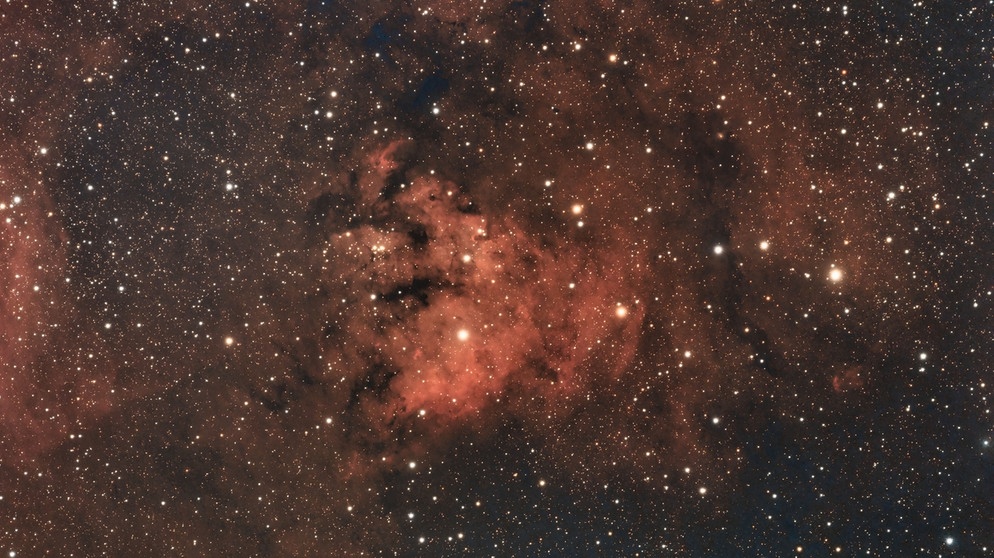 Emissionsnebel NGC 7822 im Sternbild Kepheus, fotografiert von Klaus Eltschka | Bild: Klaus Eltschka