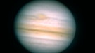 Jupiter, aufgenommen am 03.09.2021 an einem 20-Zoll-Dobson-Teleskop in Drachselsried im Bayerischen Wald | Bild: Thomas Breu