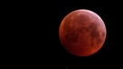 Der Blutmond vom 21.1.2019 aufgenommen von Kerstin Göthel am Torfhaus im Harz. | Bild: Kerstin Göthel