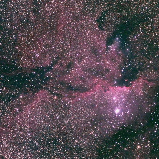 Aufgenommen auf der Internationalen Amateursternwarte in Namibia: NGC 6188 Emmissionsnebel im Sternbild: Altar | Bild: Paul Trinkler