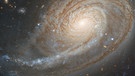 Die Galaxie NGC 772 im Sternbild Widder auf einer detailgenauen Aufnahme des Gemini Teleskops. | Bild: International Gemini Observatory/NOIRLab/NSF/AURA