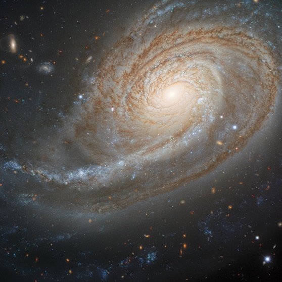 Die Galaxie NGC 772 im Sternbild Widder auf einer detailgenauen Aufnahme des Gemini Teleskops. | Bild: International Gemini Observatory/NOIRLab/NSF/AURA