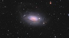 M63 (Messier 63) wird auch die Sonnenblumengalaxie genannt und liegt im Sternbild Jagdhunde | Bild: Markus Bauer